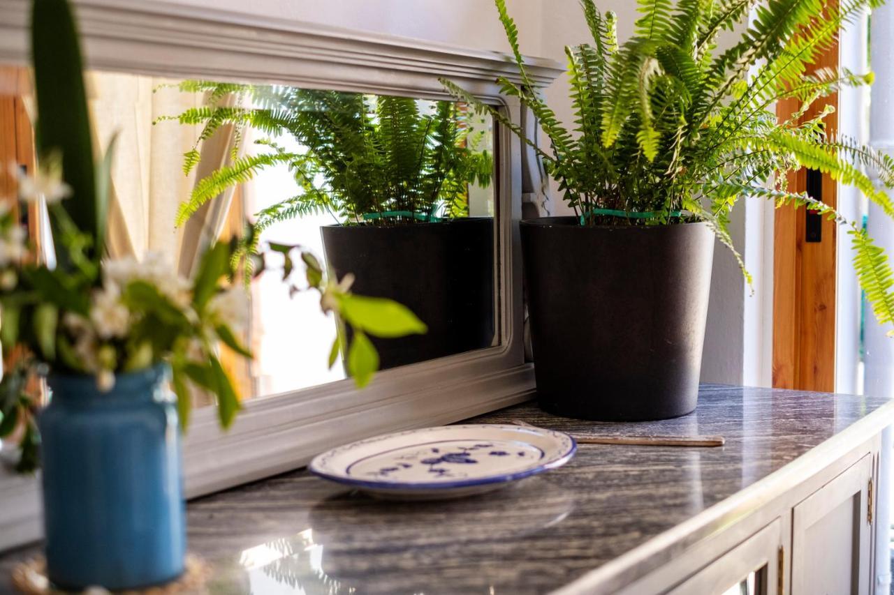 Casa Mercado Sineu Blue Ngoại thất bức ảnh